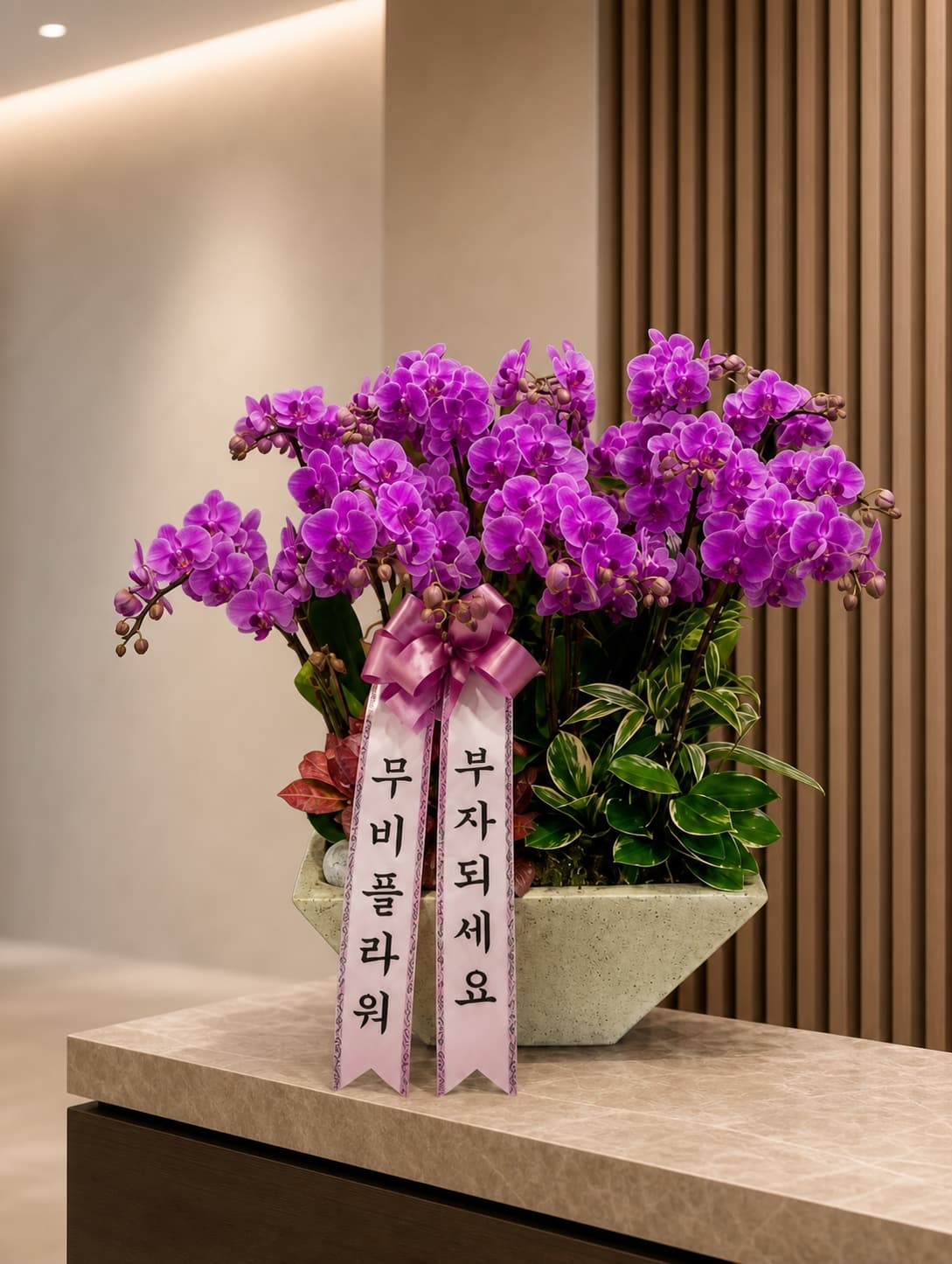 라즈베리 호접란 특대