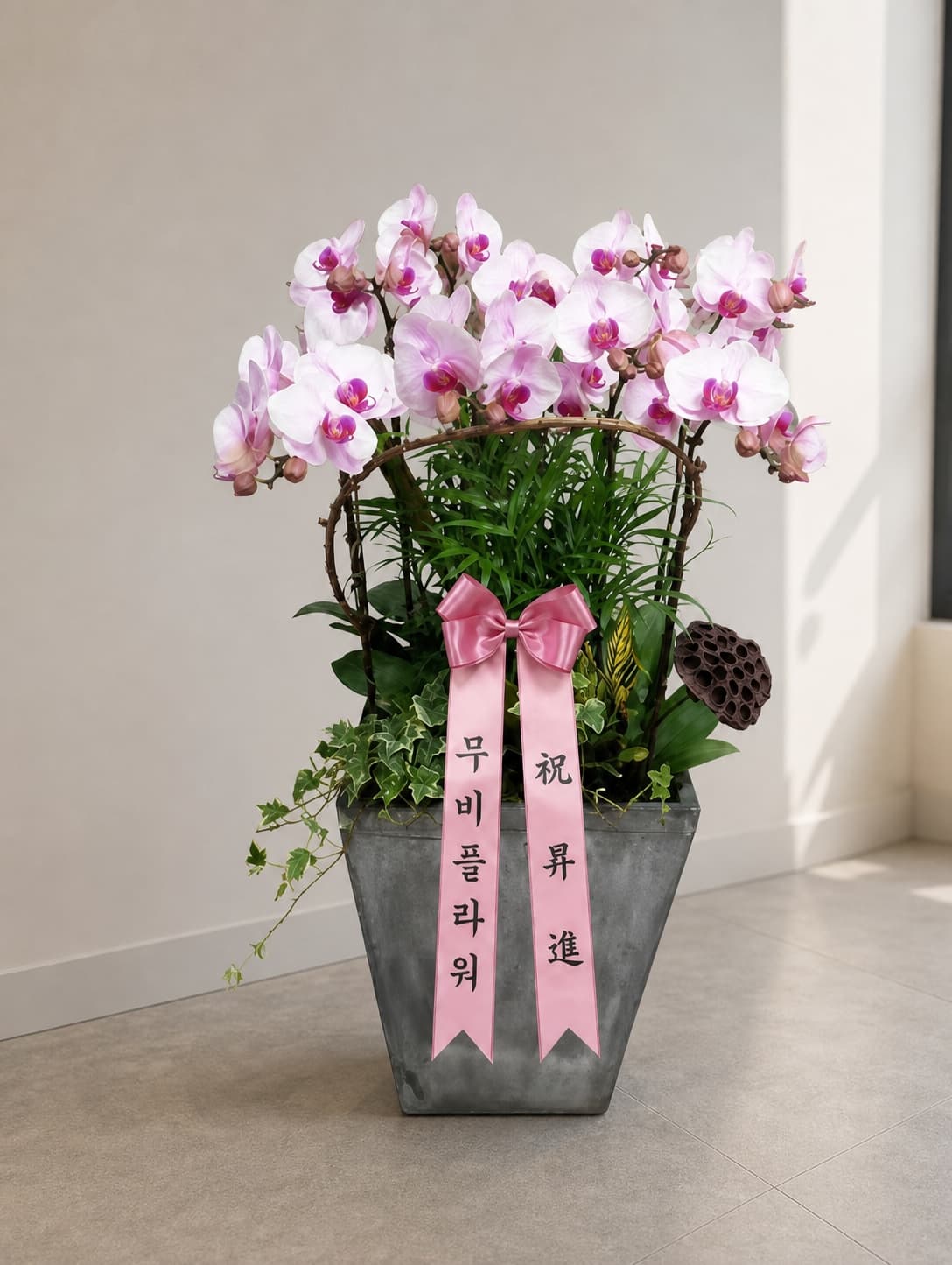 화이트 립 호접란 3대