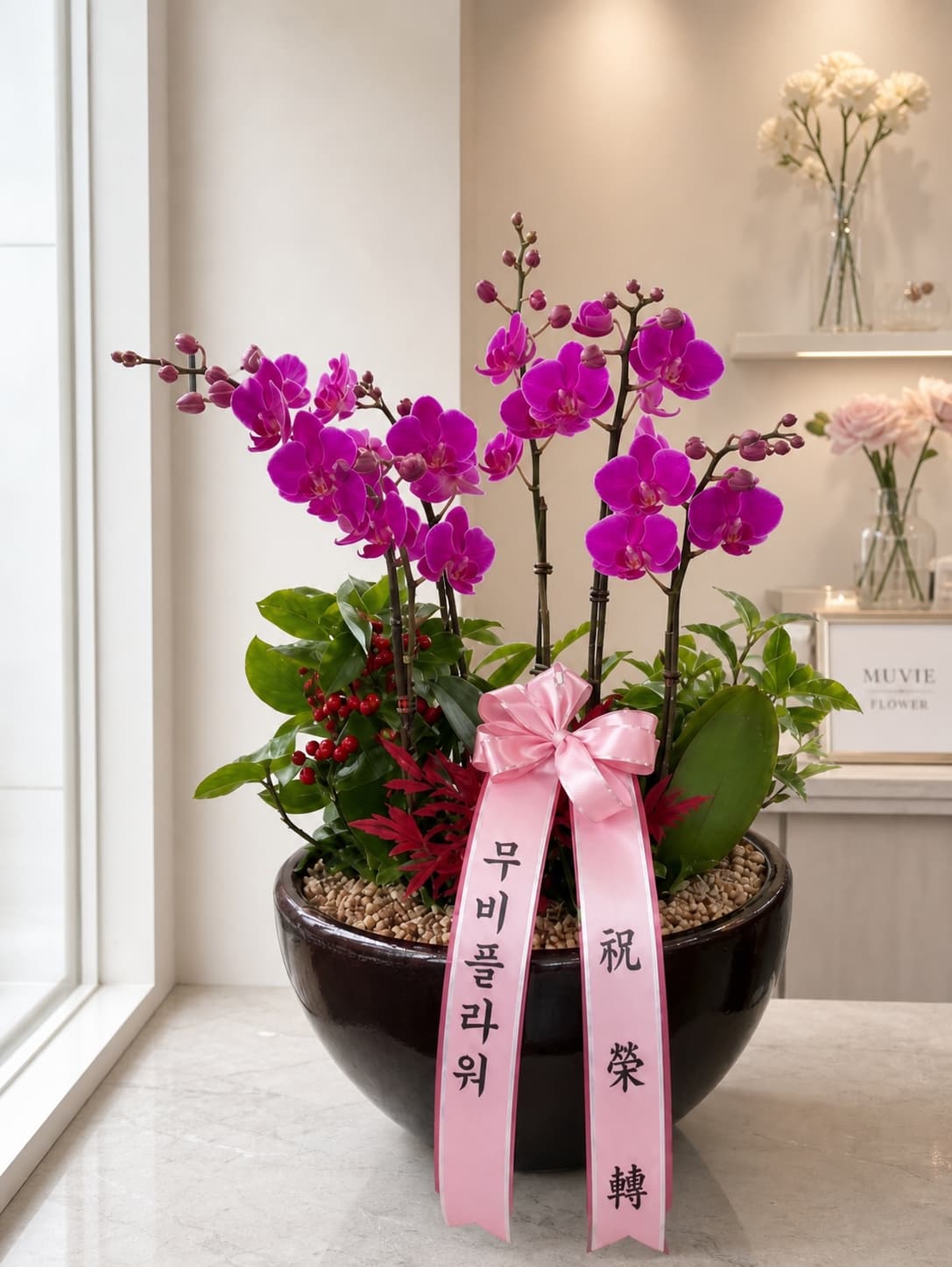 만천홍 호접란 5대 가든